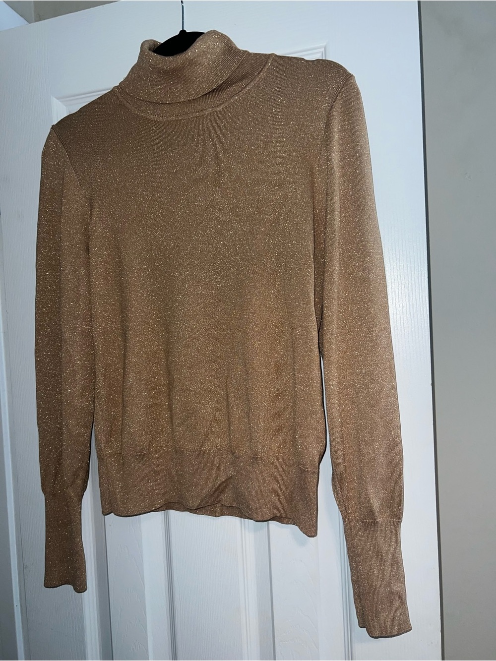 Express Metallic Taupe Turtleneck Sweater